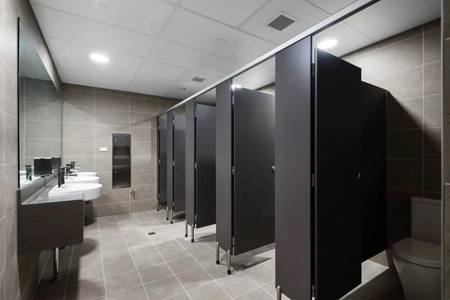 Разновидности перегородок для санузлов