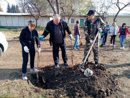 Кнауф: от зеленой наклейки к зеленым  деревьям