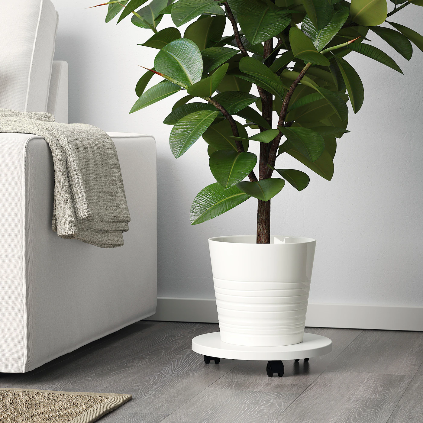 Как выбрать хороший цветочный горшок: руководство по поиску идеального дома для ваших растений