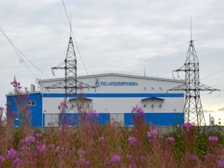 ИТ-решения социальных задач