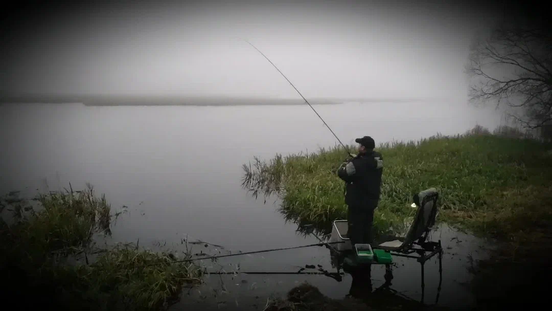 Секреты Удачной Рыбалки: Как Подготовиться и Что Взять с Собой