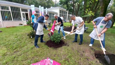 Кнауф в Архангельском: красивая помощь музею-заповеднику