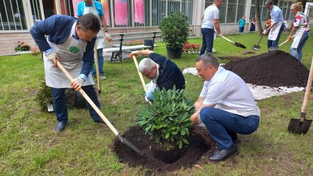 Кнауф в Архангельском: красивая помощь музею-заповеднику