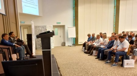 Тротуарная плитка: тренд на красоту и качество