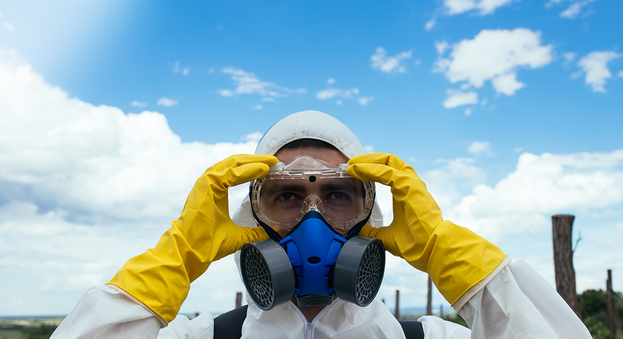 Три кита чистоты: как и зачем проводить дезинфекцию, дезинсекцию и дератизацию