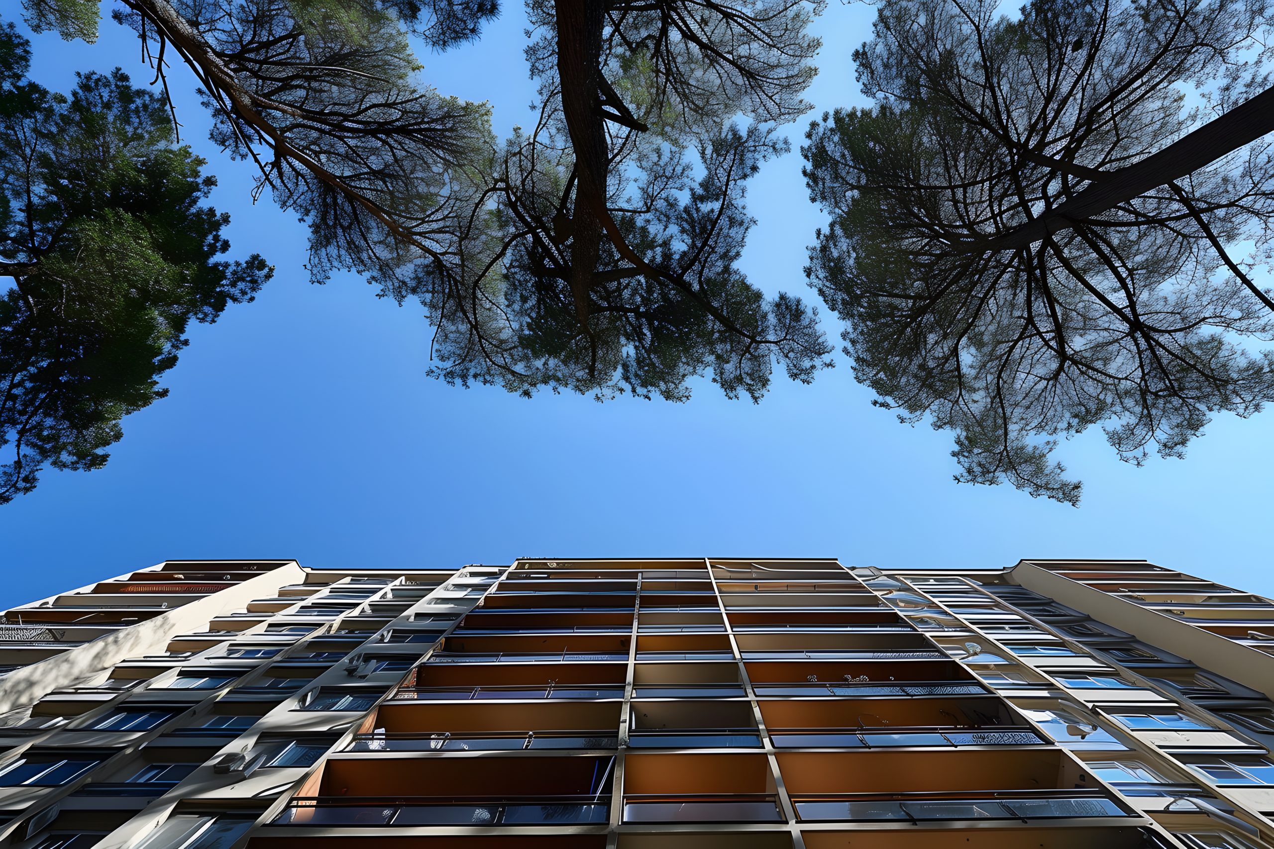 Топ-10 лучших застройщиков Москвы: кого выбрать для своей мечты о доме