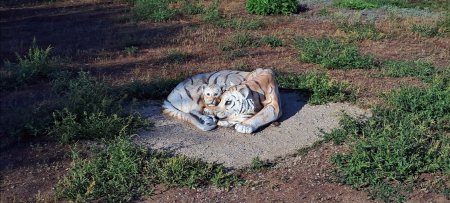 Как живут наши города «с наиболее сложным социально-экономическим положением (в том числе во взаимосвязи с проблемами функционирования градообразующих предприятий)».