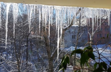 ЖКХ и гражданин: живут как кошка с собакой, но вместе навек